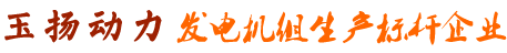 發(fā)電機組生產標桿企業(yè)